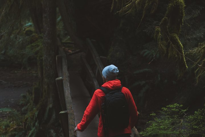 Best of Olympic National Park from Seattle: All-Inclusive Small-Group Day Tour