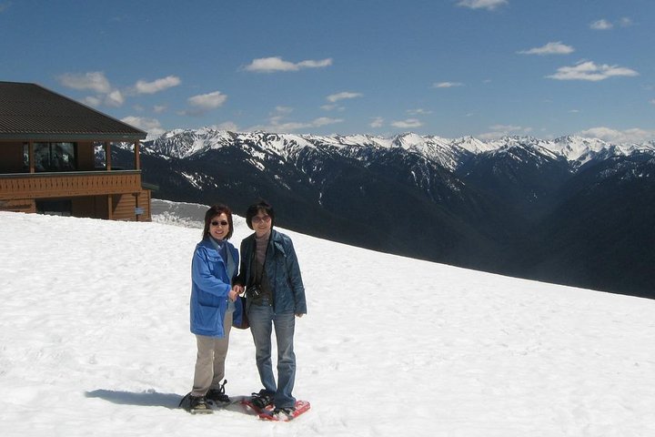 Best of Olympic National Park from Seattle: All-Inclusive Small-Group Day Tour