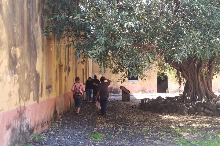 Private Tour: Mezcala Island, Chapala and Ajijic from Guadalajara