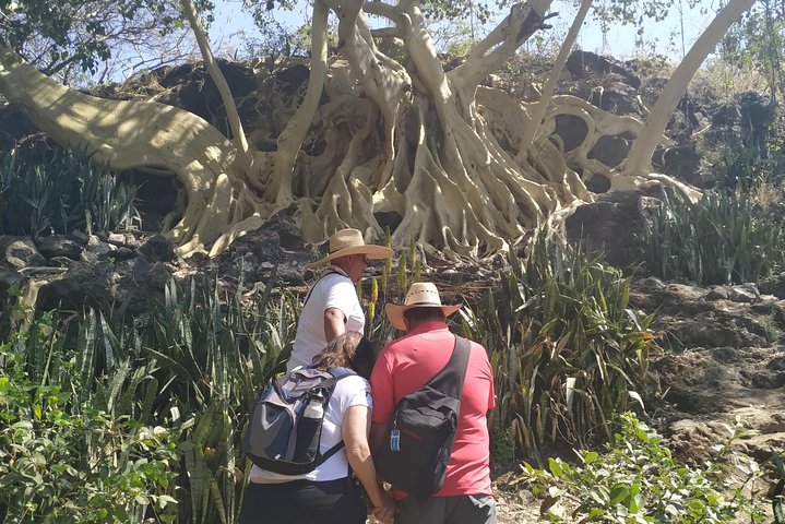 Private Tour: Mezcala Island, Chapala and Ajijic from Guadalajara