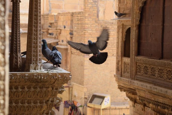 Private Full-Day Tour of Jaisalmer with Guide