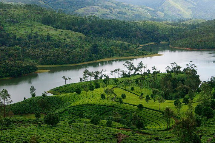 5 Nights Private Tour Cochin/Munnar/Thekkady/Houseboat/Cochin