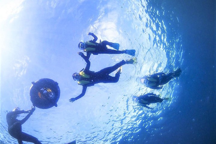 Private Snorkeling Tour (Near Churaumi Aquarium) – Free Photos