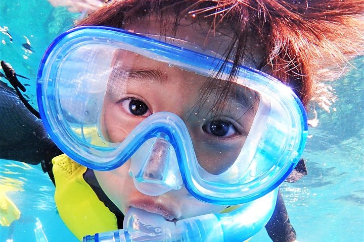 Private Snorkeling Tour (Near Churaumi Aquarium) – Free Photos