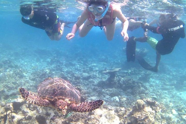 Bali Blue Lagoon Snorkeling with Lunch & Private Hotel Transfer