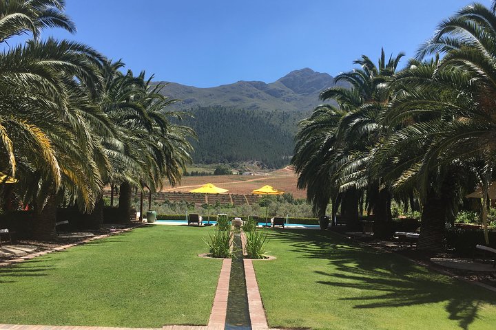 Franschhoek Sip & Cycle Experience Half Day - Private Tour
