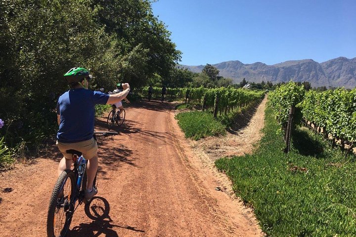 Franschhoek Sip & Cycle Experience Half Day - Private Tour