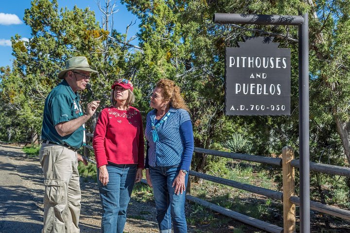 700 Year Tour - Half Day Mesa Verde Cultural Tour
