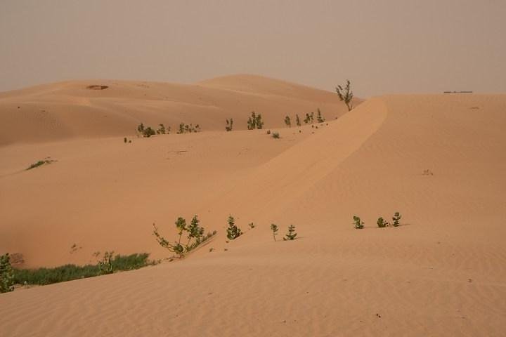 Nouakchott Explorer: Private Capital Tour