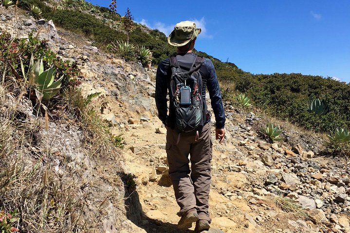 Santa Ana volcano hike with privileged early access. Go safe and skip the crowds