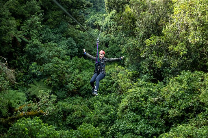 Rotorua Canopy Tours: 2.5Hour Native Forest Zipline Adventure