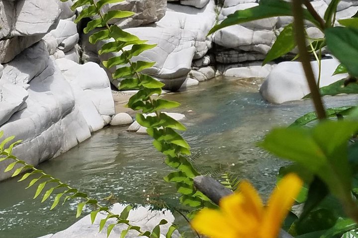White Canyon