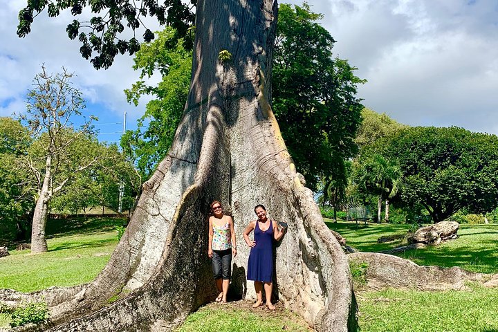 The Grand Circle 12-Hour All-Inclusive Island Experience