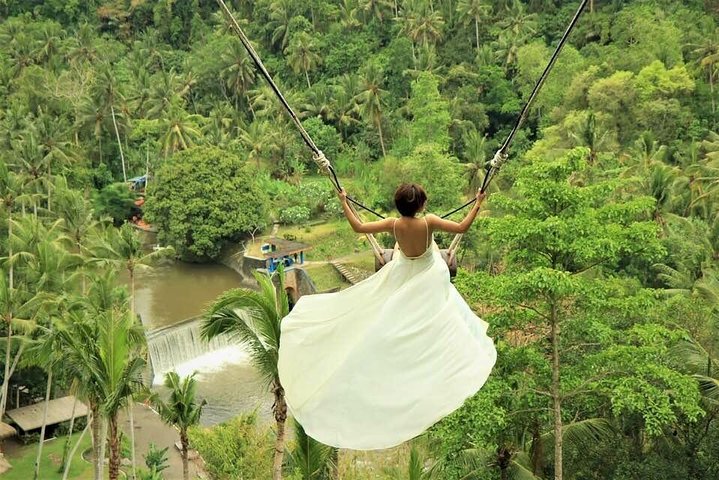 Ubud: Monkey Forest, Jungle Swing, Rice Terrace and Water Temple