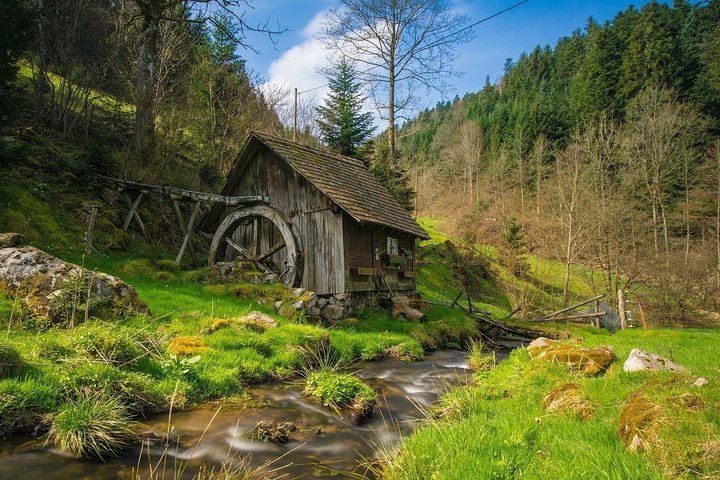 Culture and Traditions Hike through the Black Forest with a Local