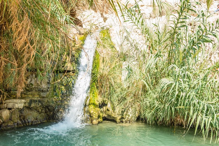 Dead Sea, Masada and Ein Gedi Day Tour from Tel Aviv