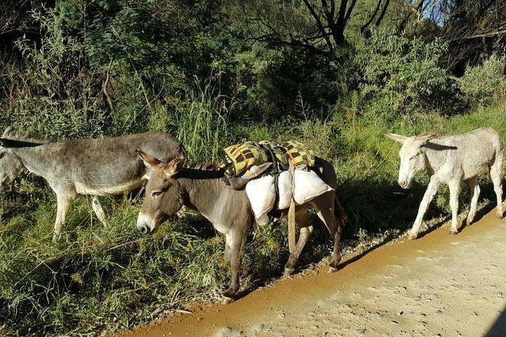 Saga of the Sani Pass and Mokhotlong Tour