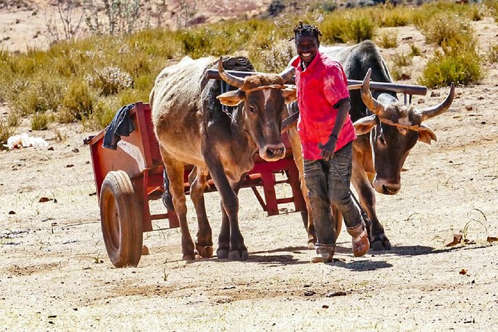 Saga of the Sani Pass and Mokhotlong Tour
