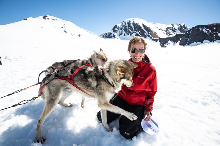 Anchorage Helicopter Glacier Dogsledding Tour
