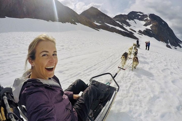 Anchorage Helicopter Glacier Dogsledding Tour
