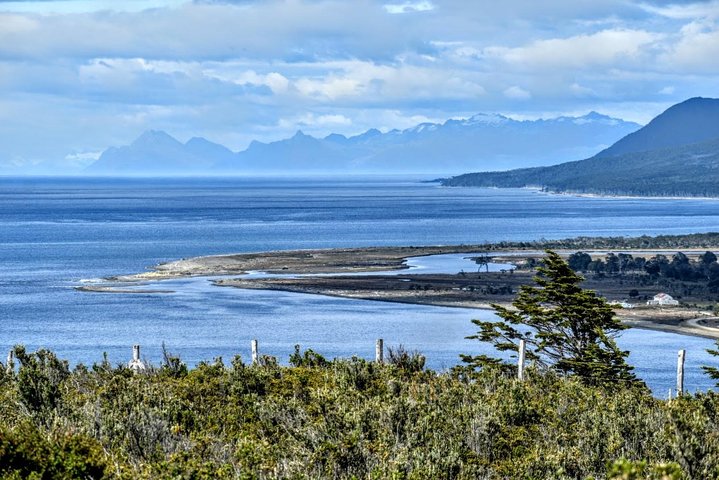 Punta Arenas Signature Shore Experience