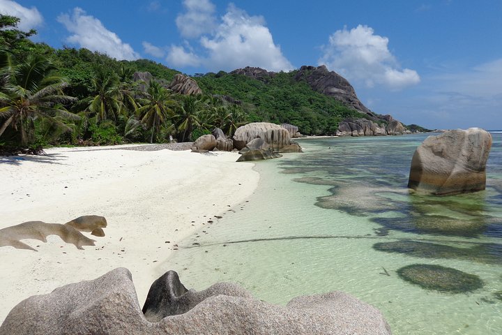 Cat Rose Praslin Island and La Digue Island Fast Ferry