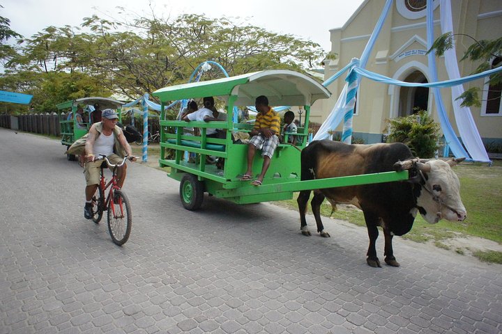 Cat Rose Praslin Island and La Digue Island Fast Ferry