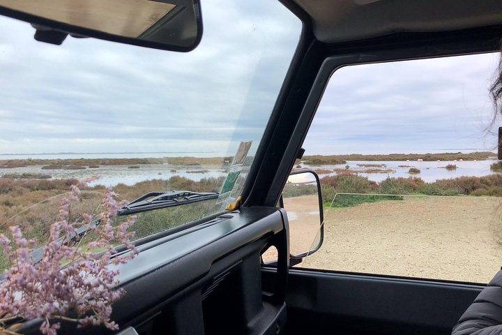 4x4 Camargue Safari 4h - Departure from Arles