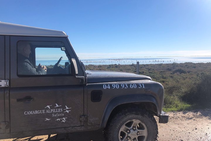 4x4 Camargue Safari 4h - Private Tour - Departure from Arles