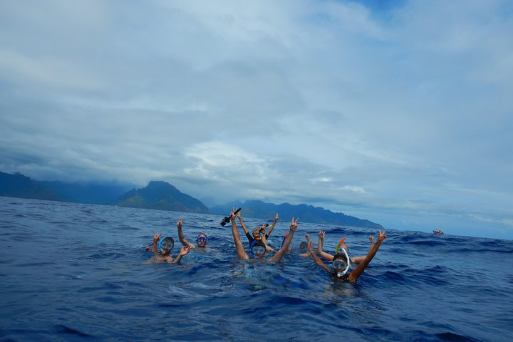 Half day whale tour 4h00