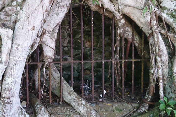 Ilha Grande - Private Historical Walking Tour with Natural Pool.