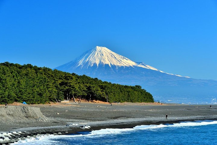 Shimizu Shore Excursion: Mt. Fuji View Tour, Licensed Guide