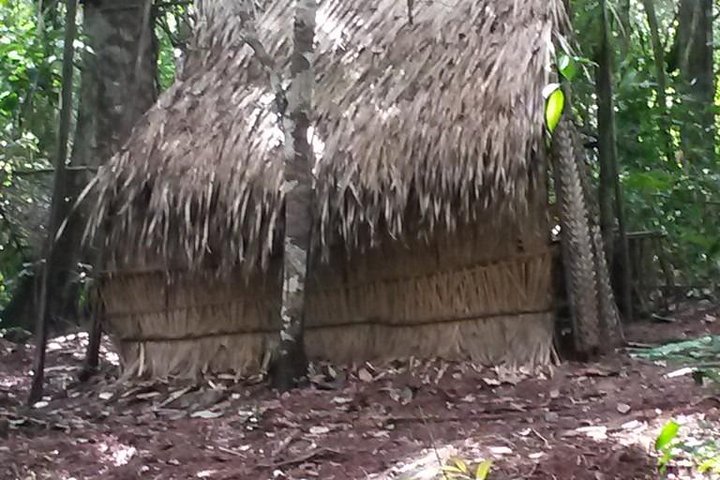 Alter do Chão Amorim Tour