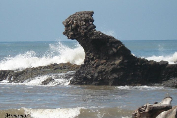 AIRPORT - PLAYA SUNZAL, EL ZONTE, EL TUNCO, ATAMI AND PALMARCITO