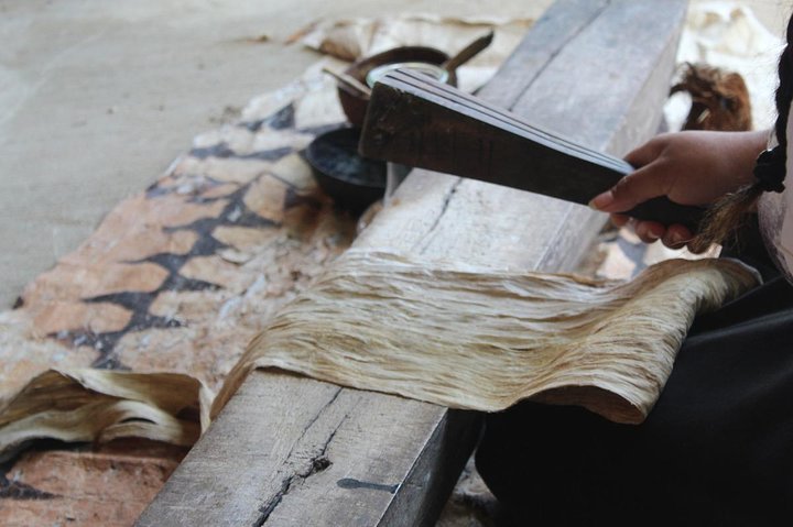 Ancient Tonga Cultur Tour 2hr Full Culture Tour