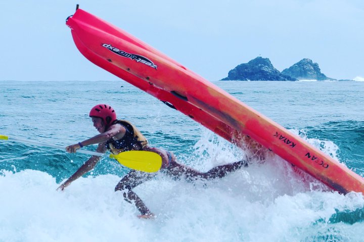 Kayaking with Dolphins in Byron Bay Guided Tour