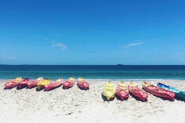 Kayaking with Dolphins in Byron Bay Guided Tour