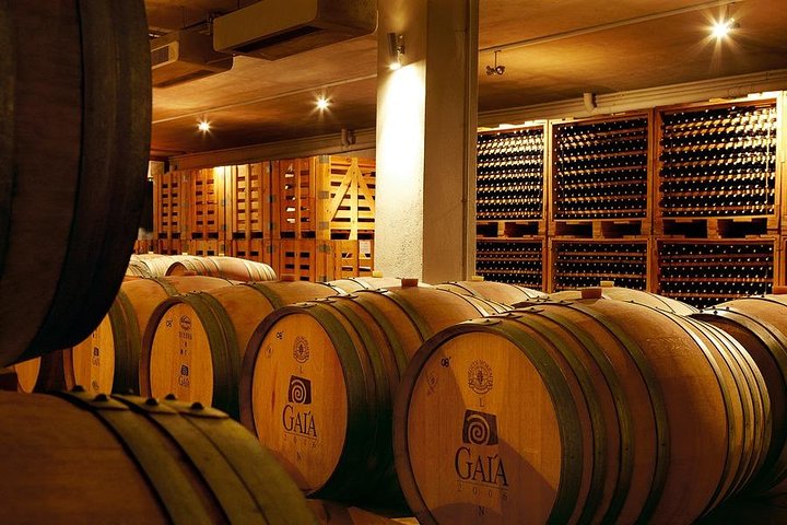 Nemea Wine Tour from Athens, Nafplio or Nemea with Oenologists