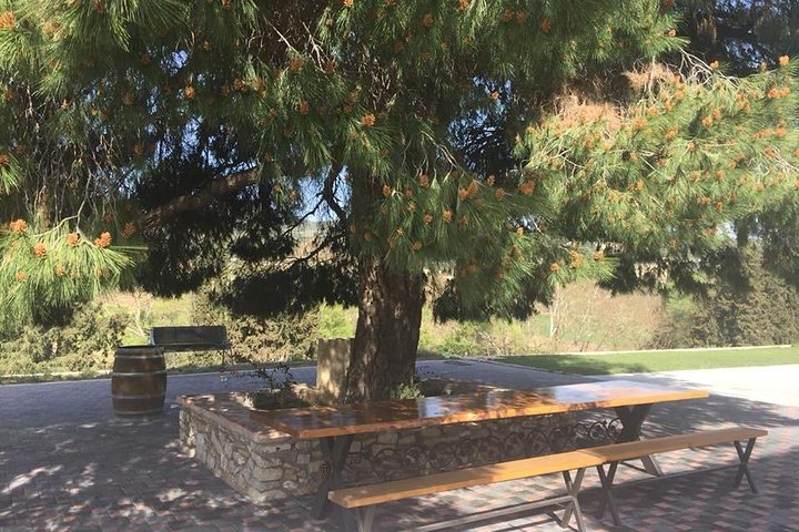 Nemea Wine Tour from Athens, Nafplio or Nemea with Oenologists