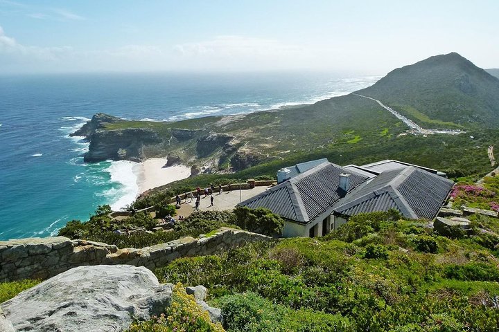 Half Day Boulders Penguins and Cape Point Small Group Tour