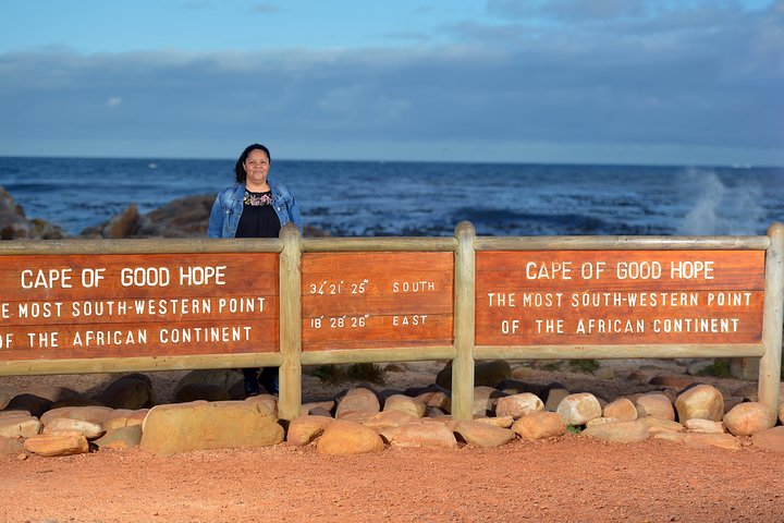 Half Day Boulders Penguins and Cape Point Small Group Tour