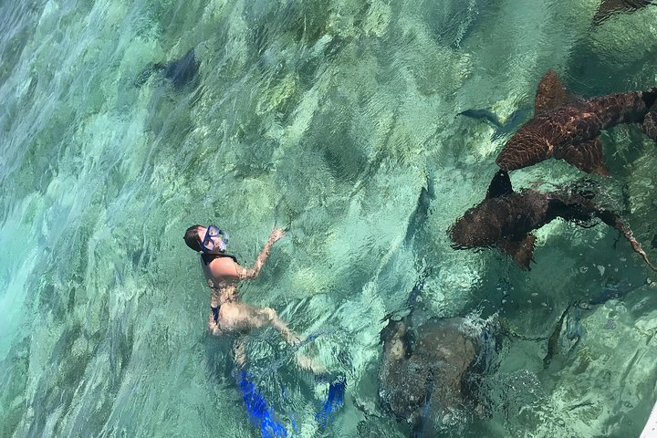 Hol Chan Full-Day Bucket List Snorkeling and Marine Life Tour