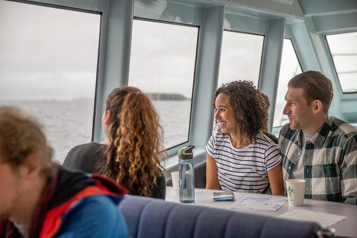 Ferry Services Between Bluff and Stewart Island