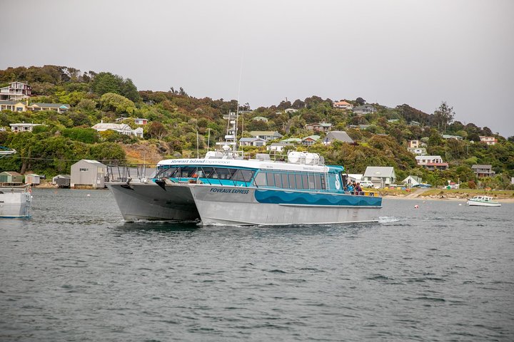 Ferry Services Between Bluff and Stewart Island