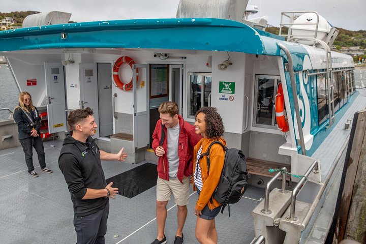 Ferry Services Between Bluff and Stewart Island