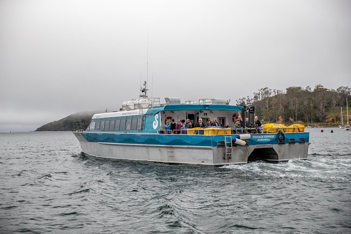 Ferry Services Between Bluff and Stewart Island