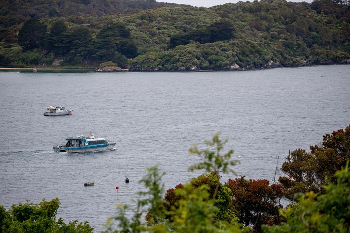 Ferry Services Between Bluff and Stewart Island
