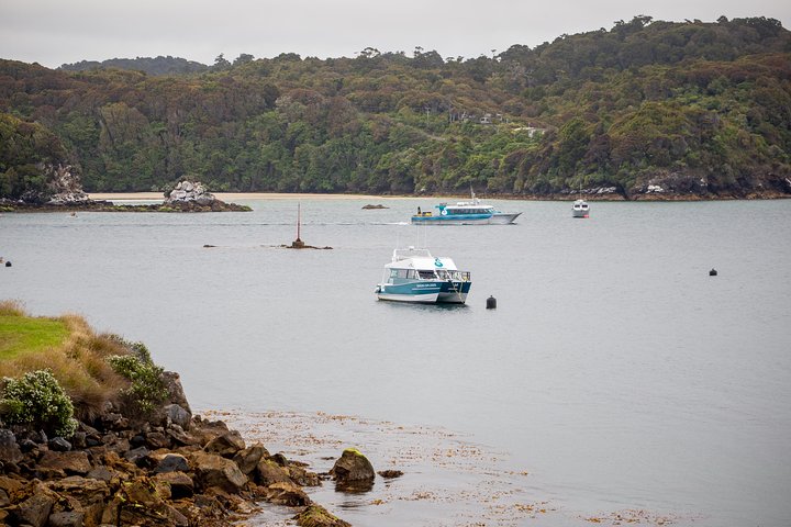 Ferry Services Between Bluff and Stewart Island