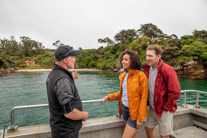 Ulva Island Explorer from Stewart Island