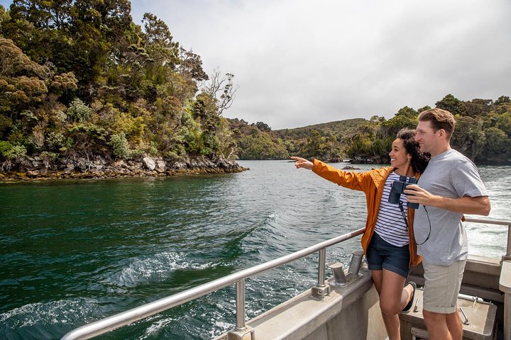 Ulva Island Explorer from Stewart Island